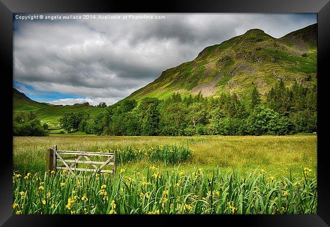  Gateway to Ullswater   Framed Print by Angela Wallace