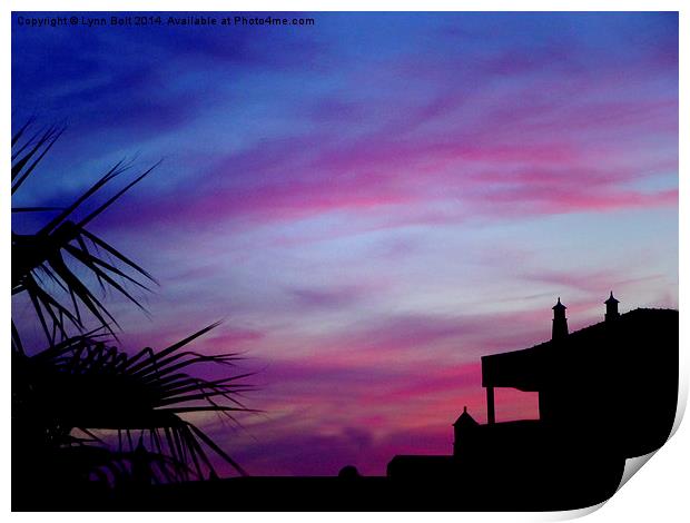  Sunset Silhouettes Print by Lynn Bolt