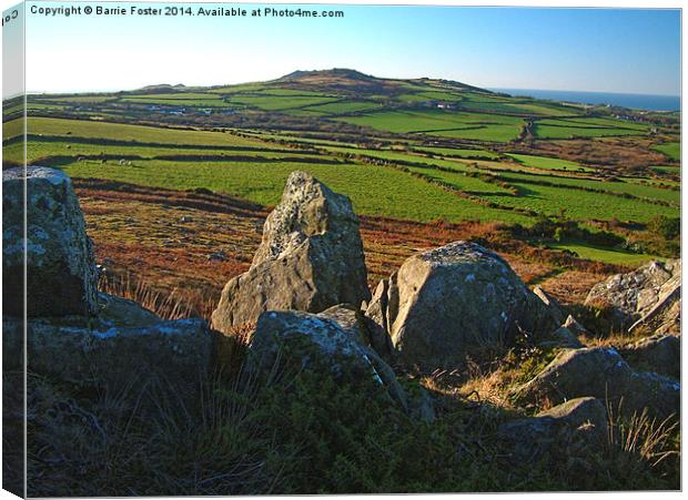  Pembrokeshire Pastoral #3 Canvas Print by Barrie Foster
