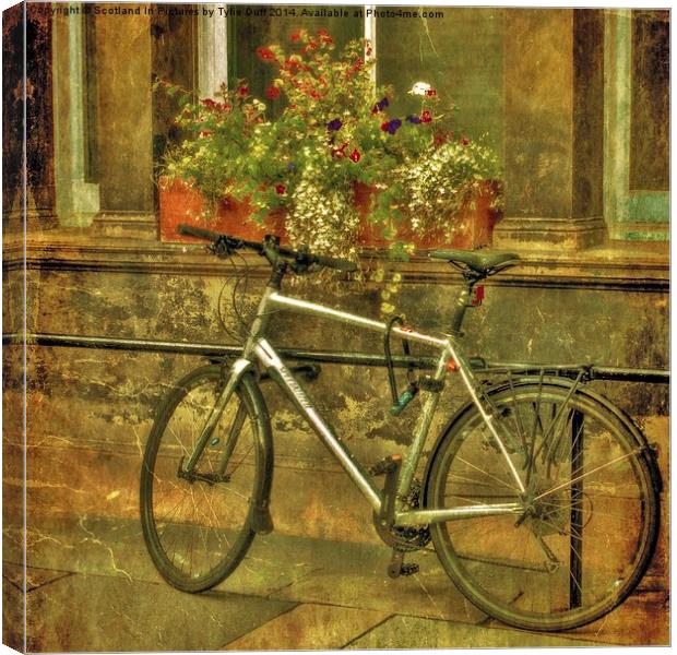 Bicycle and Flowers  Canvas Print by Tylie Duff Photo Art