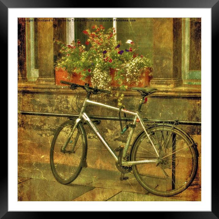 Bicycle and Flowers  Framed Mounted Print by Tylie Duff Photo Art