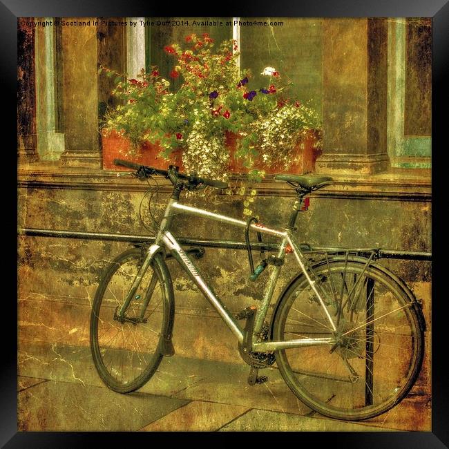 Bicycle and Flowers  Framed Print by Tylie Duff Photo Art