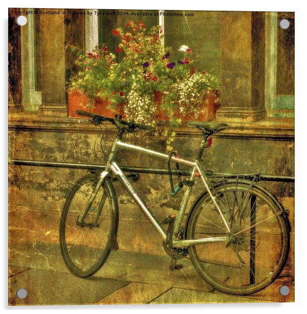 Bicycle and Flowers  Acrylic by Tylie Duff Photo Art