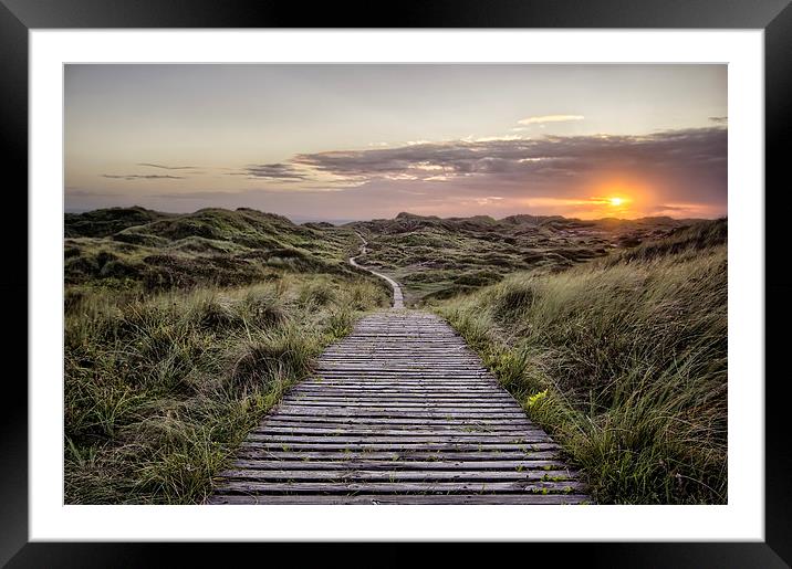  Path to the sea Framed Mounted Print by Dave Wilkinson North Devon Ph