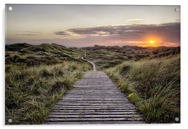  Path to the sea Acrylic by Dave Wilkinson North Devon Ph