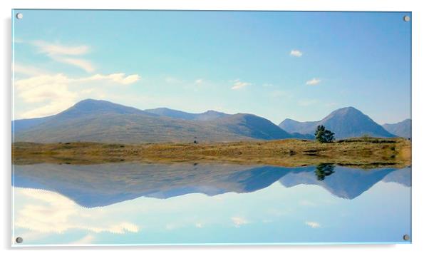  highland reflection    Acrylic by dale rys (LP)