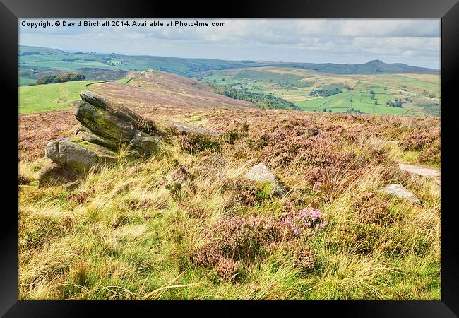 Heather On The Roaches Framed Print by David Birchall