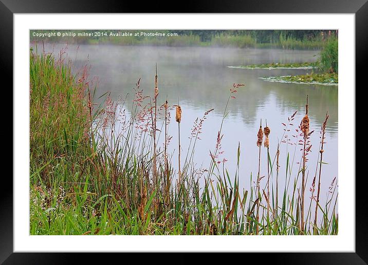  Rushes Water And Mist Framed Mounted Print by philip milner