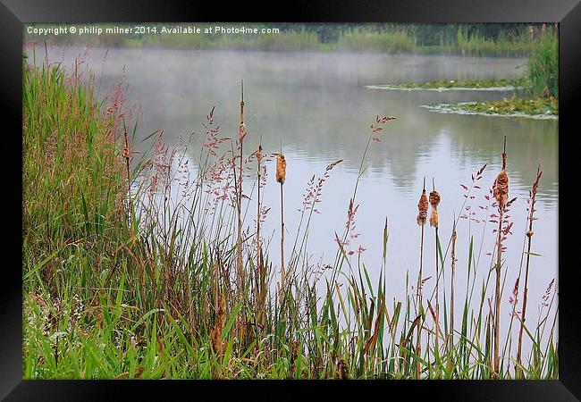  Rushes Water And Mist Framed Print by philip milner