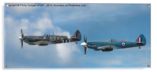 Spitfire Duo   Acrylic by Philip Hodges aFIAP ,