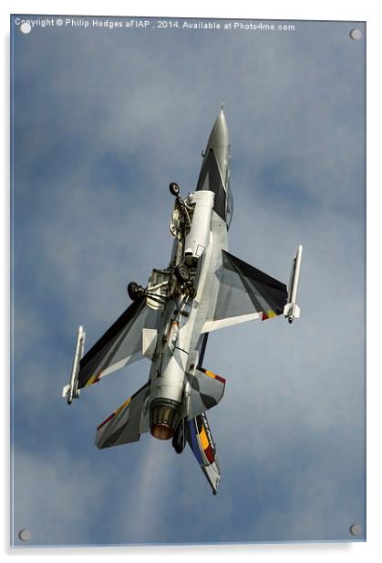 Lockheed Martin F-16AM Fighting Falcon Gear Down Acrylic by Philip Hodges aFIAP ,