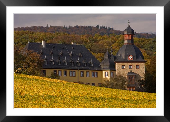 Fall in the wine fields Framed Mounted Print by Thomas Schaeffer