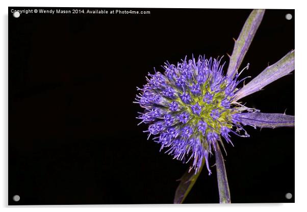  Flowers in the dark Acrylic by Wendy Mason