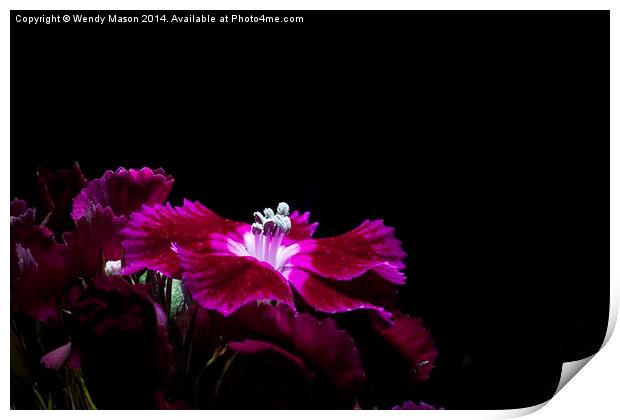  Flowers in the dark Print by Wendy Mason