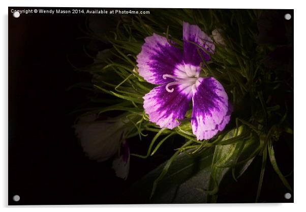  Flowers in the dark Acrylic by Wendy Mason