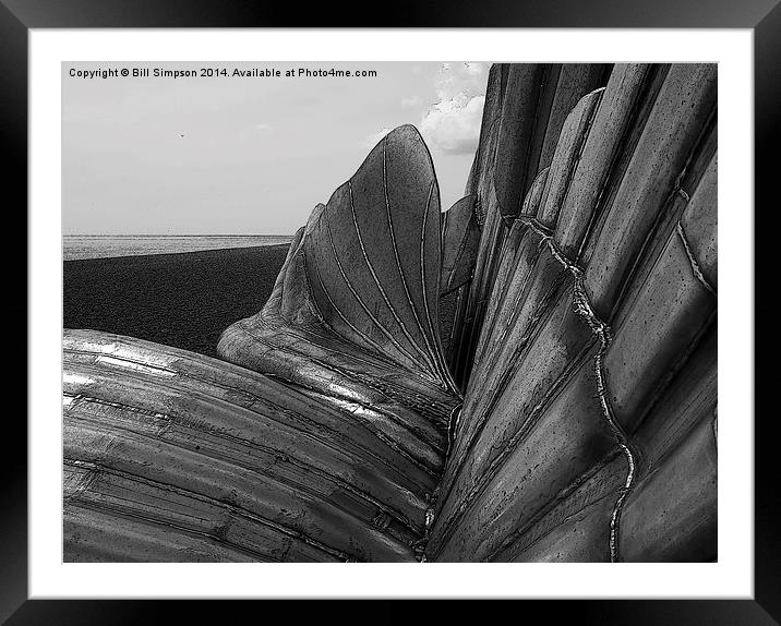 Aldeburgh's Scallop Shell B&W Close detail and pos Framed Mounted Print by Bill Simpson