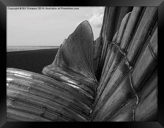 Aldeburgh's Scallop Shell B&W Close detail and pos Framed Print by Bill Simpson
