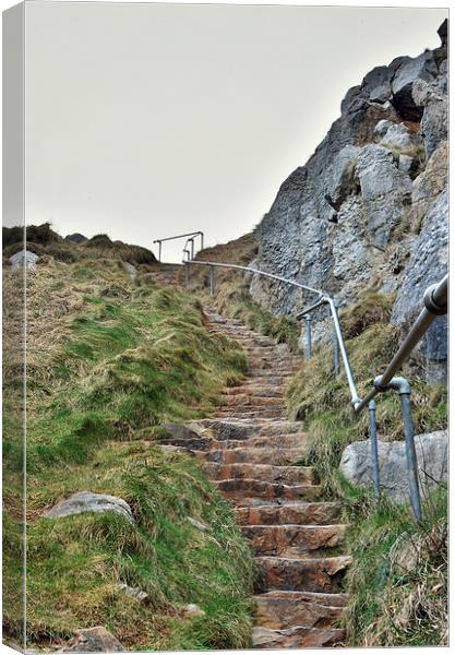  The Steps Canvas Print by Ben Welsh