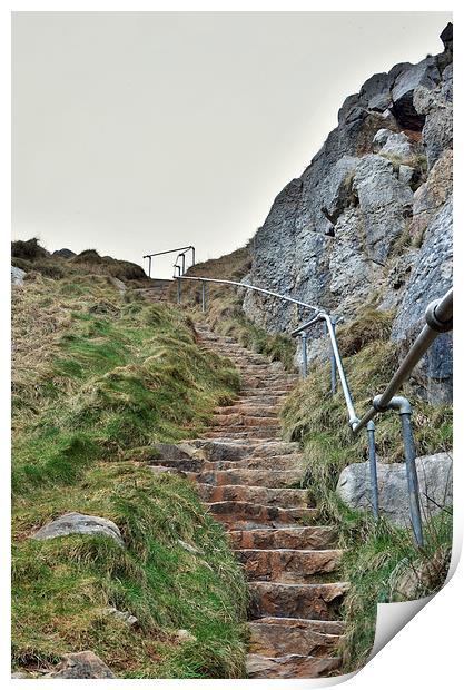  The Steps Print by Ben Welsh