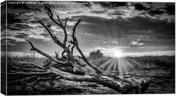  Sunset on the Naze in Black and White Canvas Print by matthew  mallett