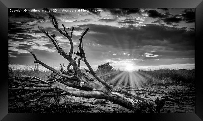  Sunset on the Naze in Black and White Framed Print by matthew  mallett
