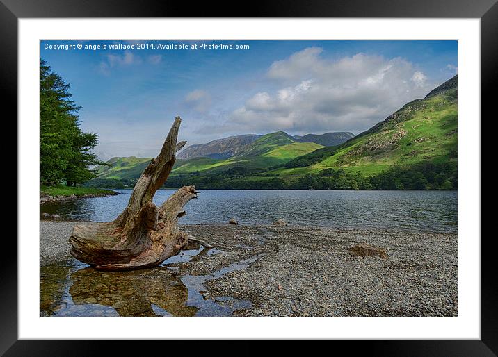  Stumped Framed Mounted Print by Angela Wallace