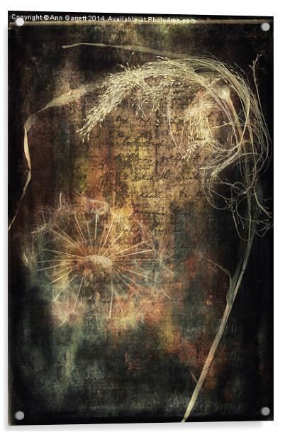 Seeds and Textures Acrylic by Ann Garrett