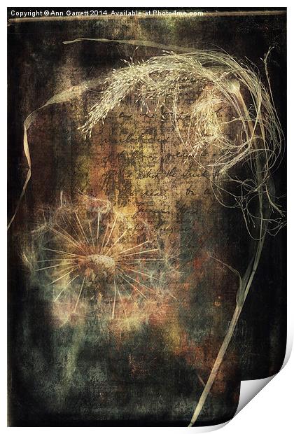 Seeds and Textures Print by Ann Garrett