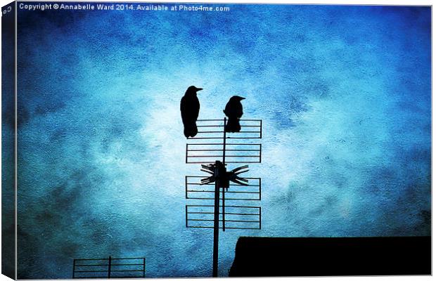  Two Crow Blues Canvas Print by Annabelle Ward