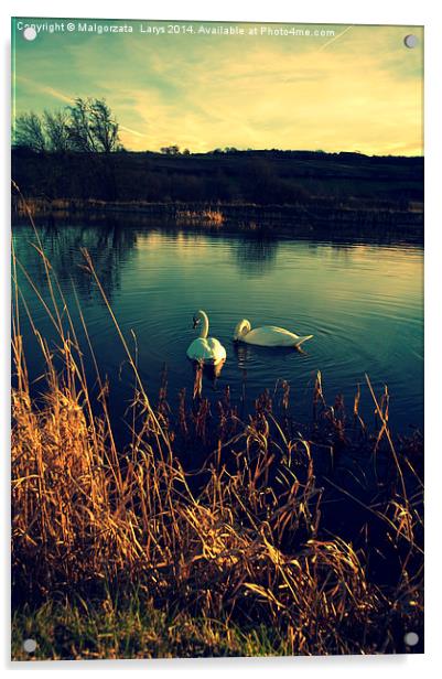  Swans Acrylic by Malgorzata Larys