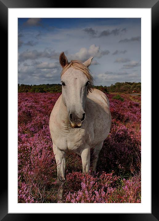  Outstanding In His Field Framed Mounted Print by Phil Clements