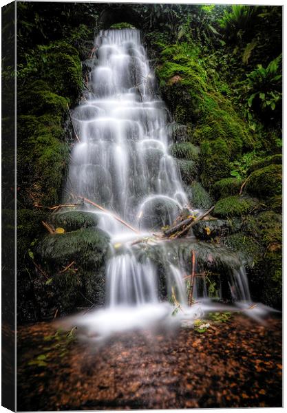  Ninesprings waterfall Canvas Print by Lorraine Paterson
