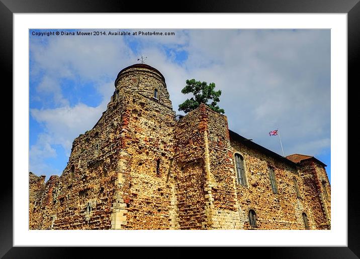  Colchester Castle Framed Mounted Print by Diana Mower