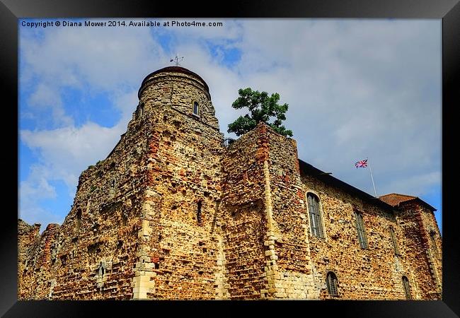  Colchester Castle Framed Print by Diana Mower