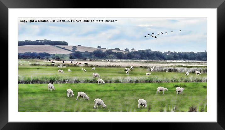  On the way to Rye Framed Mounted Print by Sharon Lisa Clarke