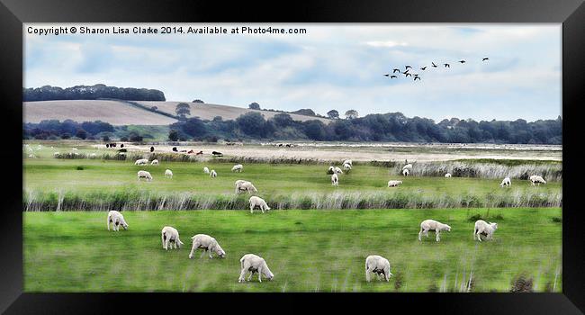  On the way to Rye Framed Print by Sharon Lisa Clarke