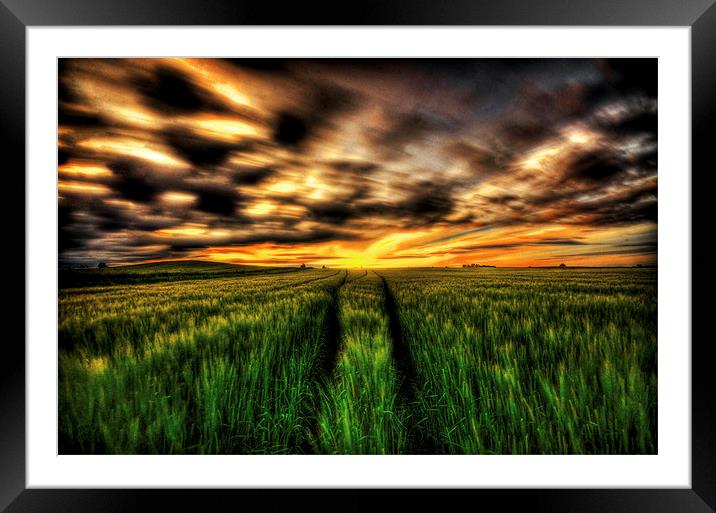  Field on fire Framed Mounted Print by Lorraine Paterson