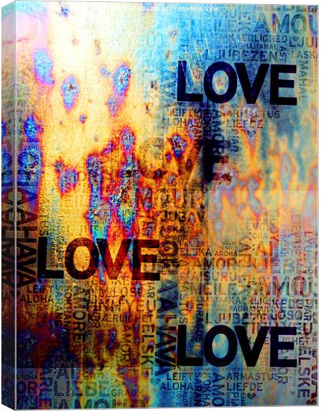  Love Canvas Print by Jenny Rainbow
