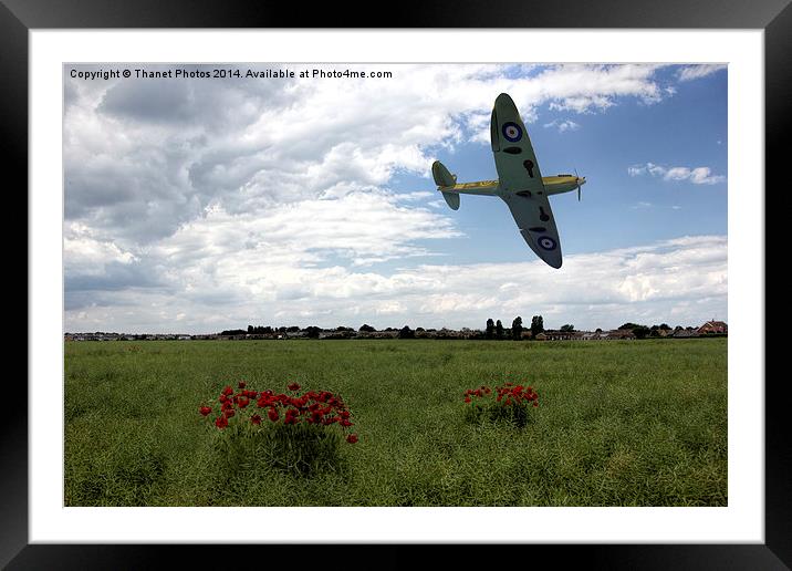 Low level Spitfire Framed Mounted Print by Thanet Photos