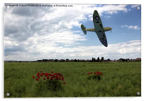  Low level Spitfire Acrylic by Thanet Photos