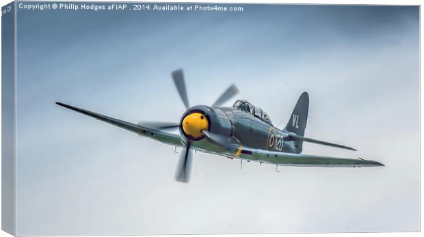  Hawker Sea Fury T20 Two Seat , Yeovilton 2014 Canvas Print by Philip Hodges aFIAP ,