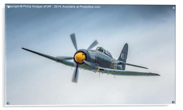 Hawker Sea Fury T20 Two Seat , Yeovilton 2014 Acrylic by Philip Hodges aFIAP ,