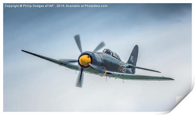  Hawker Sea Fury T20 Two Seat , Yeovilton 2014 Print by Philip Hodges aFIAP ,