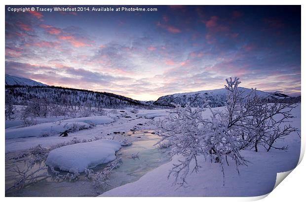 Frozen Lake Print by Tracey Whitefoot