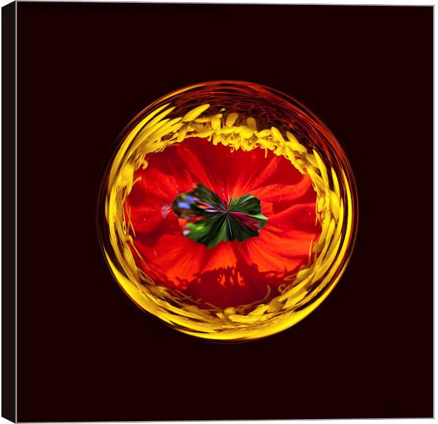  Flower globe in red and yellow Canvas Print by Robert Gipson