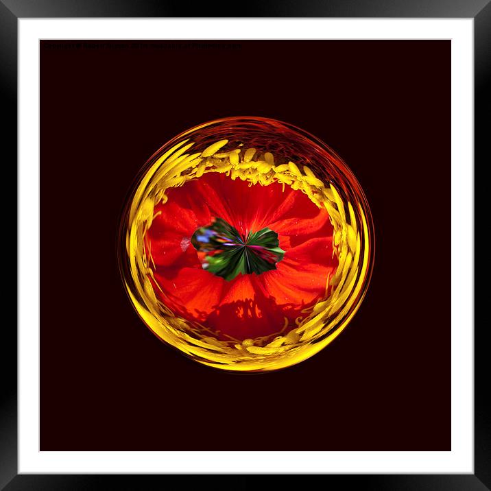  Flower globe in red and yellow Framed Mounted Print by Robert Gipson