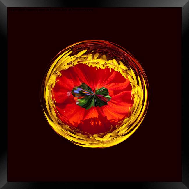 Flower globe in red and yellow Framed Print by Robert Gipson