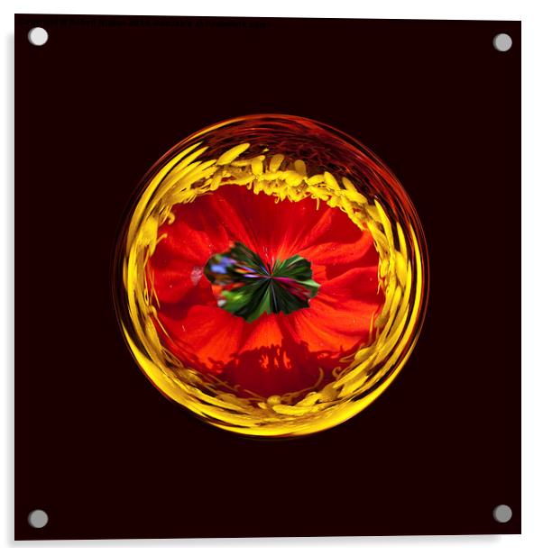  Flower globe in red and yellow Acrylic by Robert Gipson