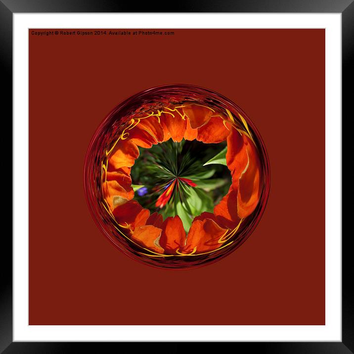 Flower in the globe yellow and red Framed Mounted Print by Robert Gipson