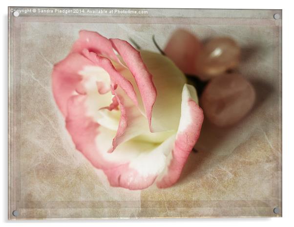  Lysianthus and Rose Quarz Acrylic by Sandra Pledger